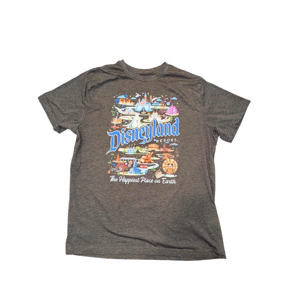 Disneyland Resort T Shirt Gray The Happiest Place on Earth Attractions List Sz L